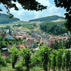 Wy Erläb Buus H Grieder Langenbruck ©Baselland Tourismus