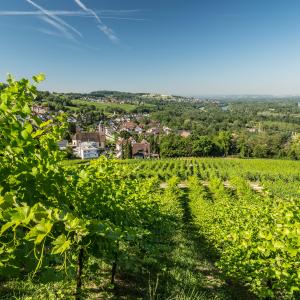 ©Bade- und Kurverwaltung Bad Bellingen