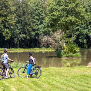 Etang Saundgau ©D. Lett