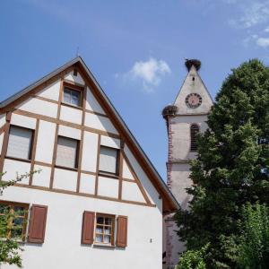 Holzen Storchendorf ©Tourist-Information Kandern