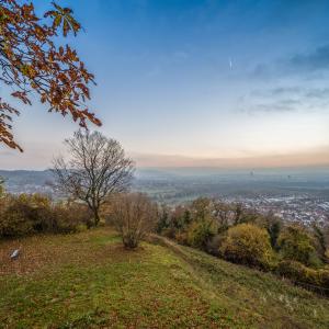 Vue depuis le Tüllinger ©Tourist-Information Lörrach